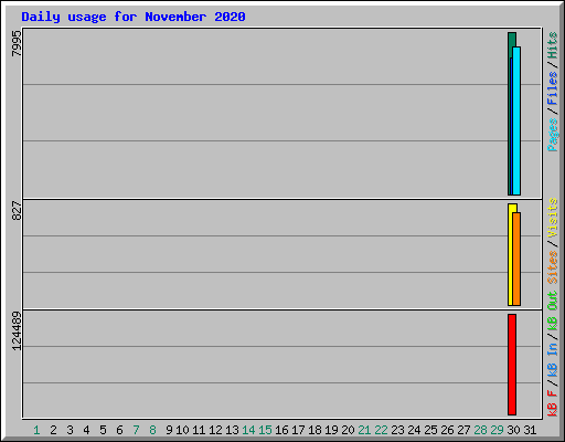 Daily usage for November 2020