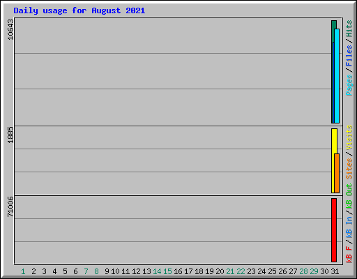 Daily usage for August 2021