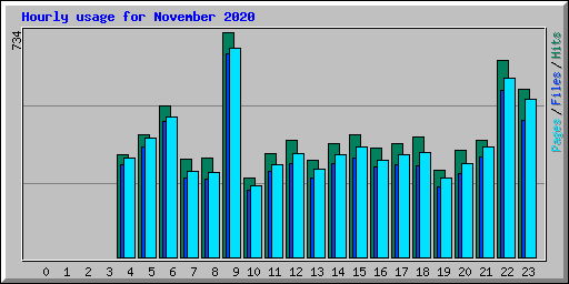 Hourly usage for November 2020