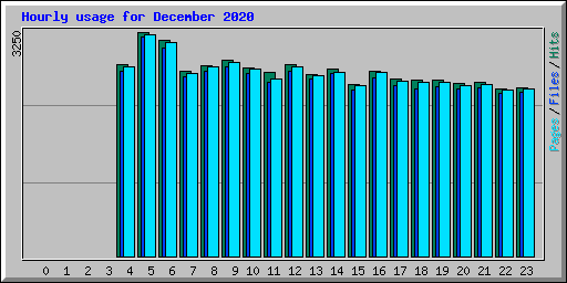 Hourly usage for December 2020