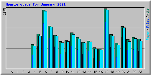 Hourly usage for January 2021