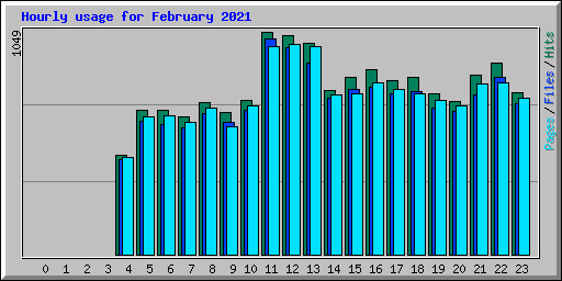 Hourly usage for February 2021