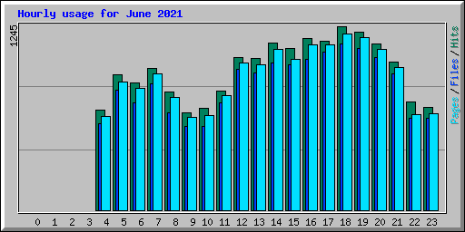 Hourly usage for June 2021